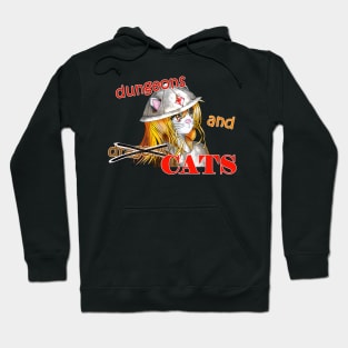 dungeons and cats warrior in shining armor Hoodie